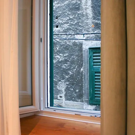 Antini Trudi